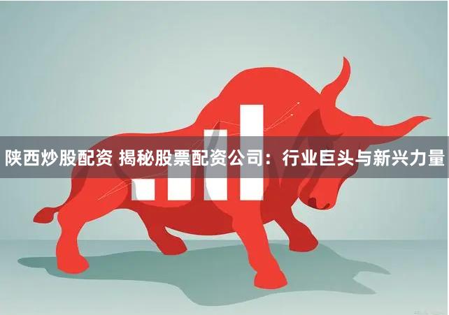 陕西炒股配资 揭秘股票配资公司：行业巨头与新兴力量