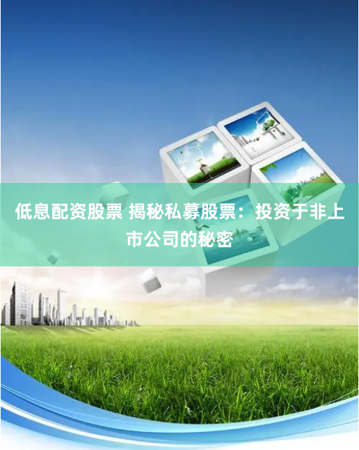 低息配资股票 揭秘私募股票：投资于非上市公司的秘密