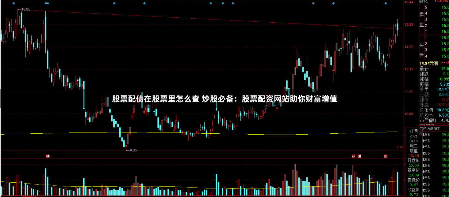 股票配债在股票里怎么查 炒股必备：股票配资网站助你财富增值